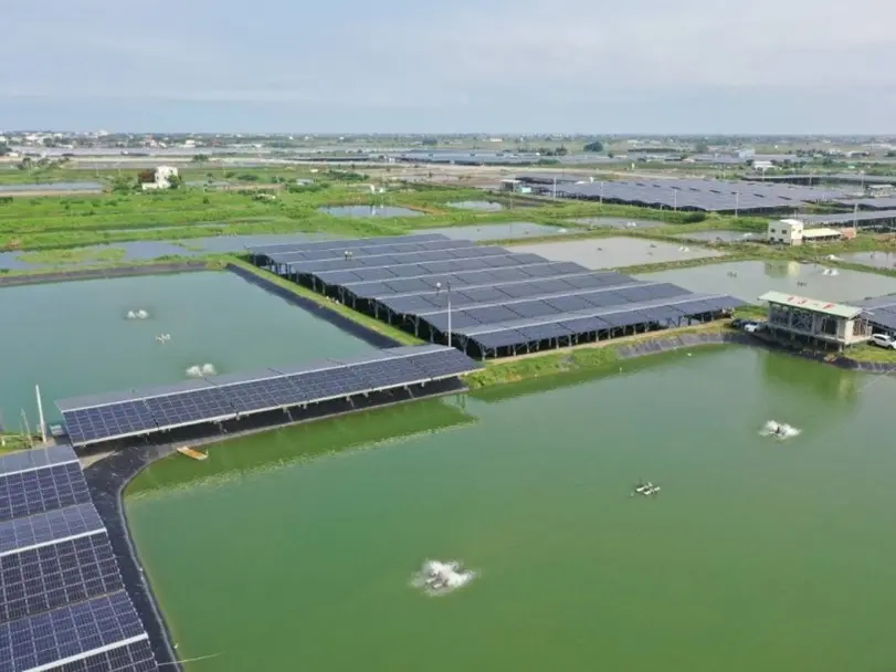 發綠電也產魚蝦！走訪台泥綠能嘉義漁電共生
