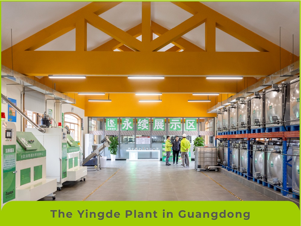 The Yingde Plant in Guangdong