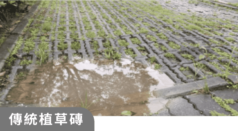 傳統植草磚劣勢，凹陷、積水承載力不足